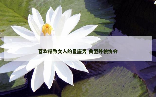 喜欢精致女人的星座男 典型外貌协会