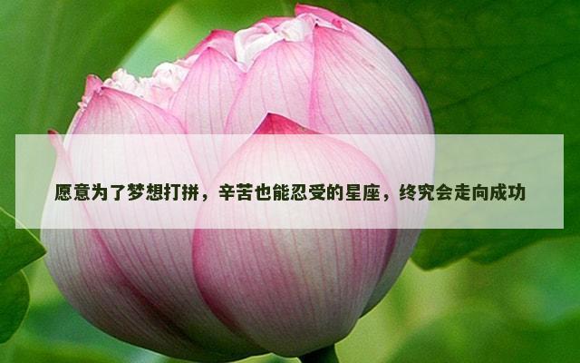 愿意为了梦想打拼，辛苦也能忍受的星座，终究会走向成功