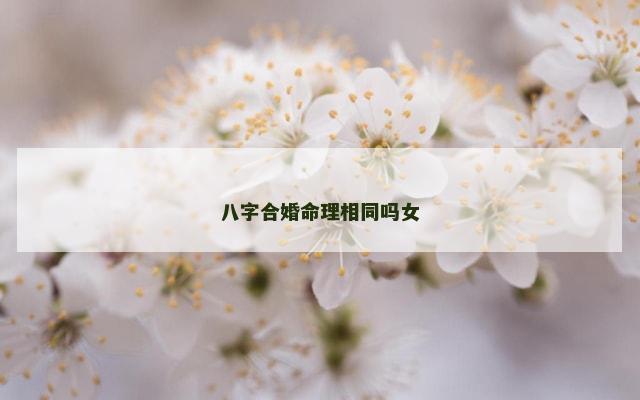 八字合婚命理相同吗女