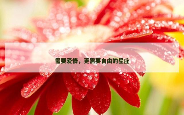需要爱情，更需要自由的星座
