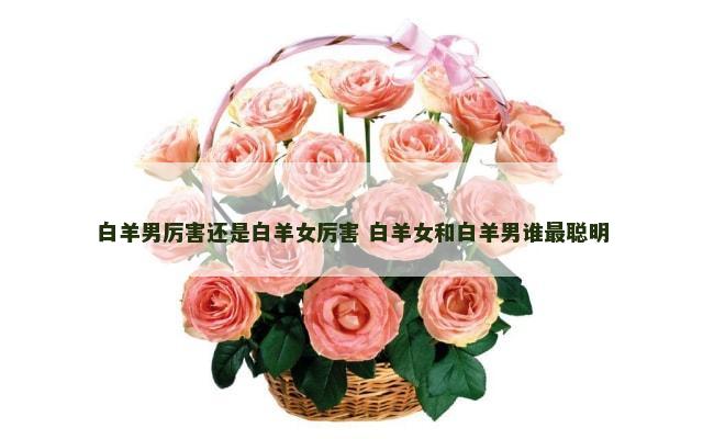 白羊男厉害还是白羊女厉害 白羊女和白羊男谁最聪明