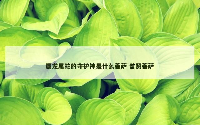属龙属蛇的守护神是什么菩萨 普贤菩萨