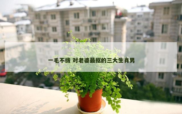 一毛不拔 对老婆最抠的三大生肖男