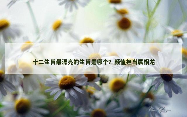 十二生肖最漂亮的生肖是哪个？颜值担当属相龙
