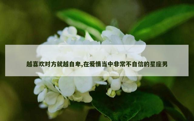 越喜欢对方就越自卑,在爱情当中非常不自信的星座男