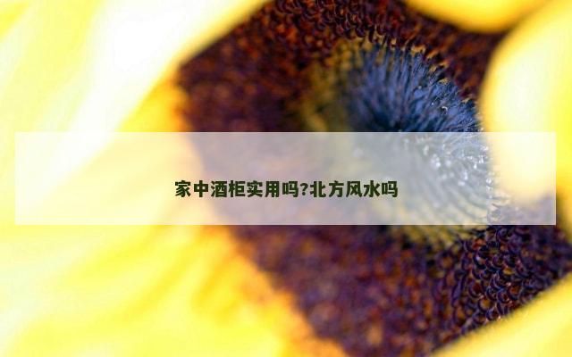 家中酒柜实用吗?北方风水吗