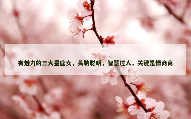 有魅力的三大星座女，头脑聪明，智慧过人，关键是情商高