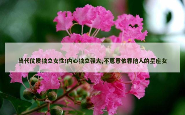 当代优质独立女性!内心独立强大,不愿意依靠他人的星座女