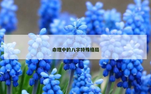 命理中的八字特殊格局