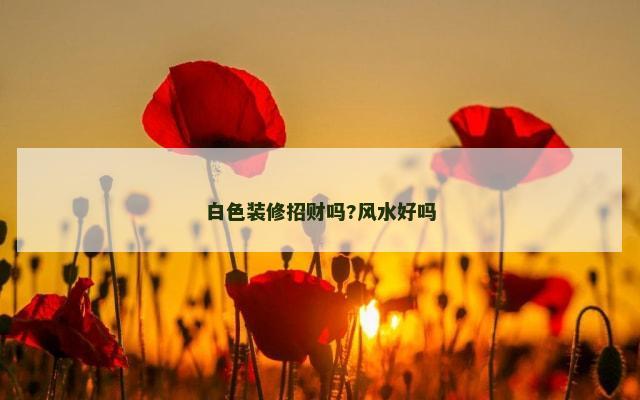 白色装修招财吗?风水好吗
