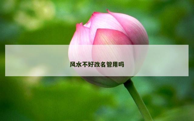风水不好改名管用吗