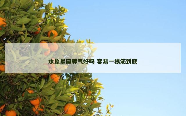 水象星座脾气好吗 容易一根筋到底