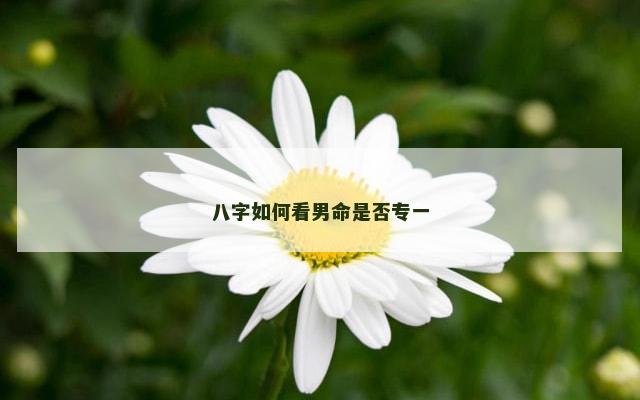 八字如何看男命是否专一