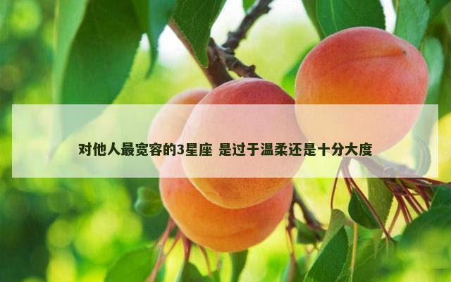 对他人最宽容的3星座 是过于温柔还是十分大度