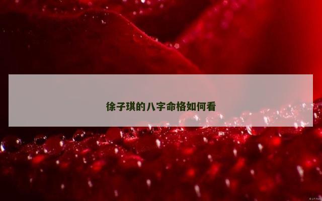 徐子琪的八字命格如何看