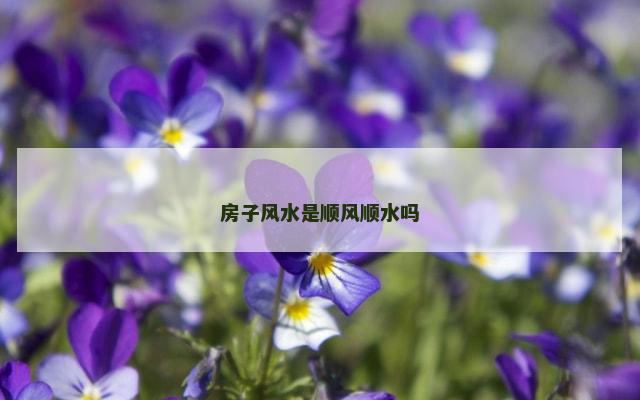 房子风水是顺风顺水吗