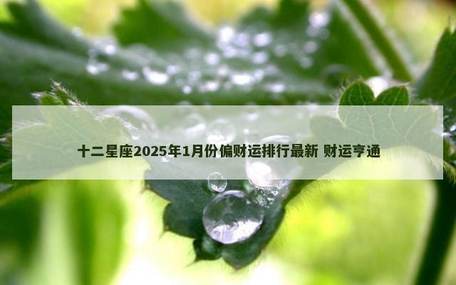 十二星座2025年1月份偏财运排行最新 财运亨通