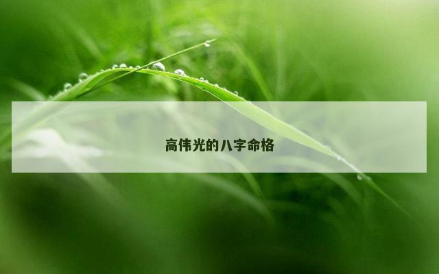 高伟光的八字命格
