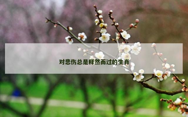 对悲伤总是释然而过的生肖