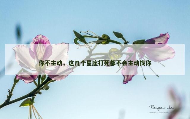 你不主动，这几个星座打死都不会主动找你