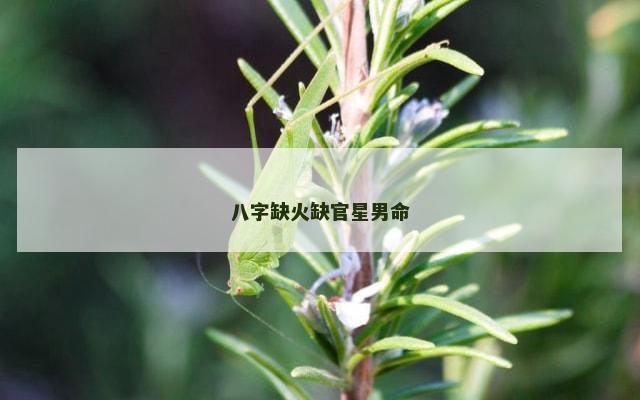 八字缺火缺官星男命
