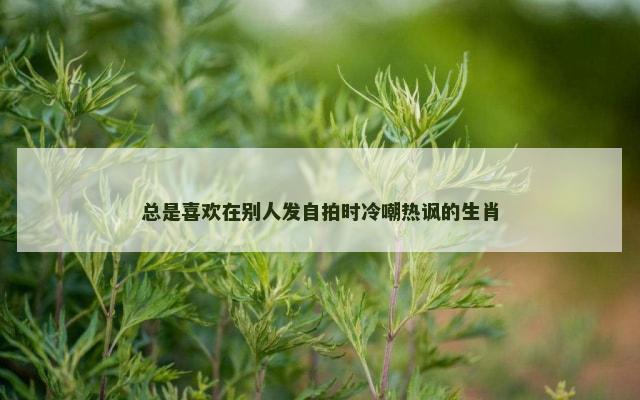 总是喜欢在别人发自拍时冷嘲热讽的生肖