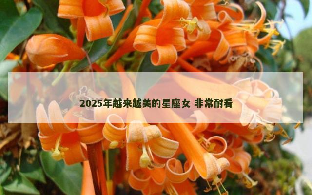 2025年越来越美的星座女 非常耐看