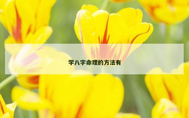 学八字命理的方法有
