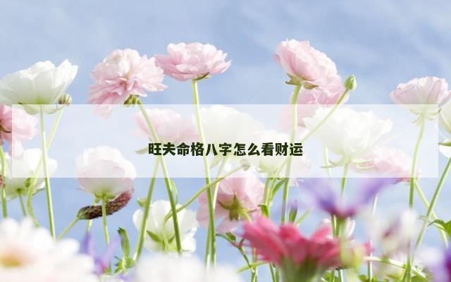 旺夫命格八字怎么看财运