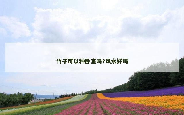 竹子可以种卧室吗?风水好吗