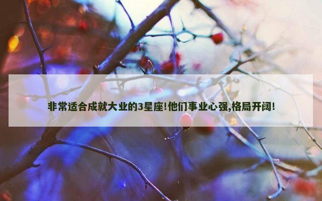 非常适合成就大业的3星座!他们事业心强,格局开阔!