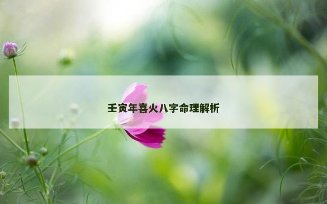壬寅年喜火八字命理解析