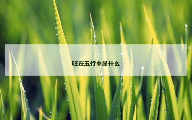旺在五行中属什么