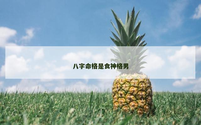 八字命格是食神格男