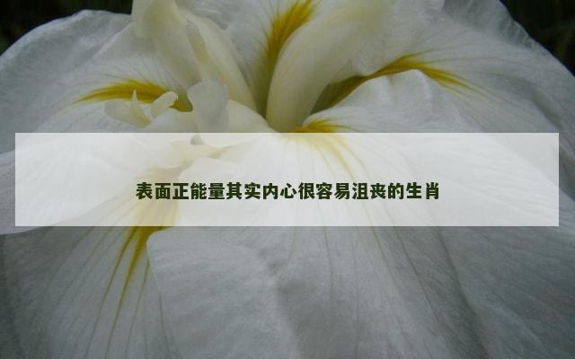 表面正能量其实内心很容易沮丧的生肖