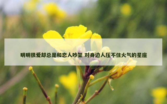 明明很爱却总是和恋人吵架 对身边人压不住火气的星座