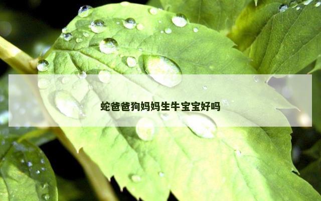 蛇爸爸狗妈妈生牛宝宝好吗