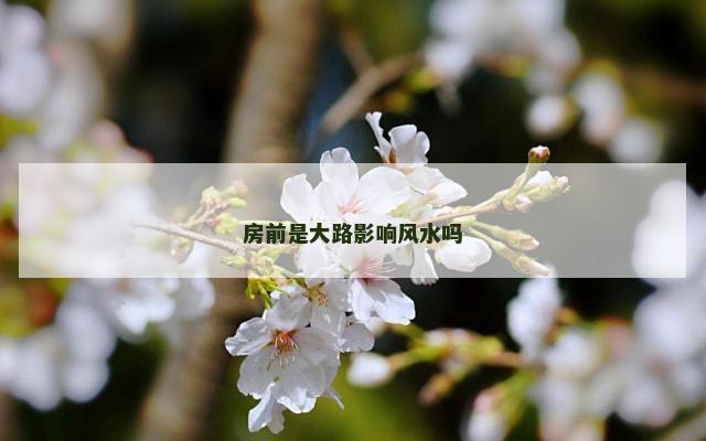 房前是大路影响风水吗