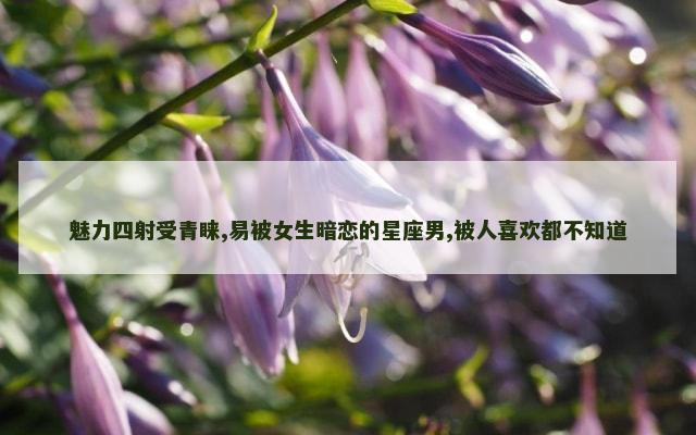 魅力四射受青睐,易被女生暗恋的星座男,被人喜欢都不知道