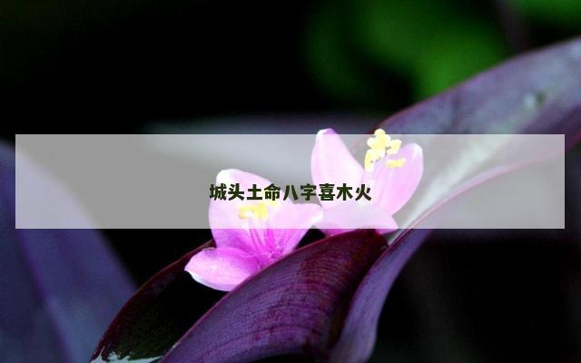 城头土命八字喜木火
