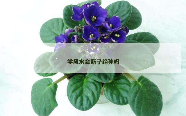 学风水会断子绝孙吗