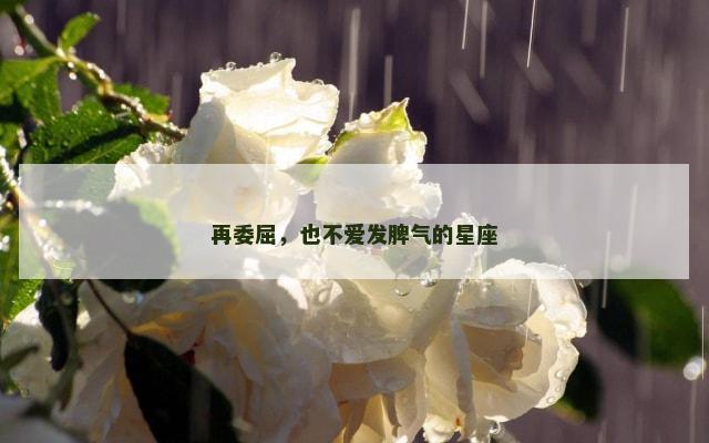 再委屈，也不爱发脾气的星座