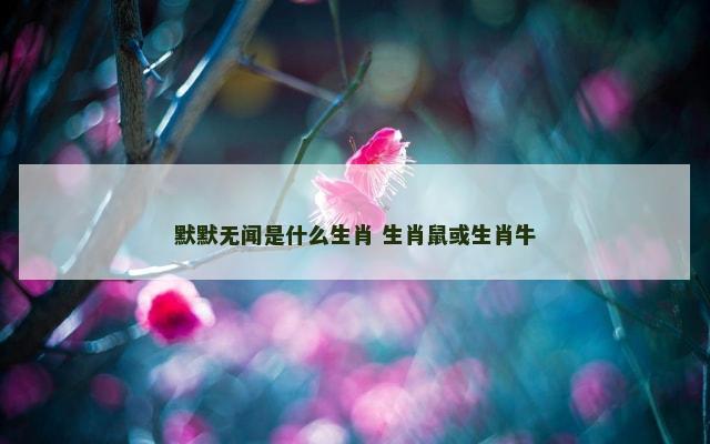 默默无闻是什么生肖 生肖鼠或生肖牛