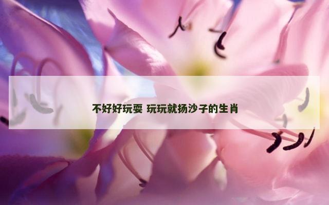 不好好玩耍 玩玩就扬沙子的生肖