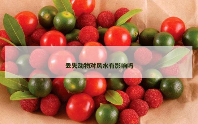 丢失动物对风水有影响吗