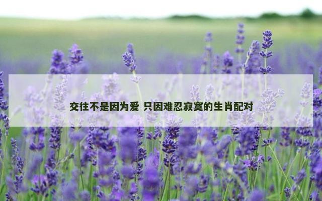 交往不是因为爱 只因难忍寂寞的生肖配对