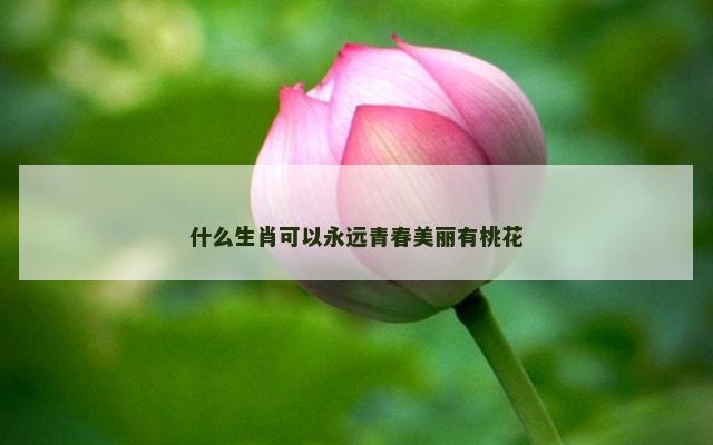 什么生肖可以永远青春美丽有桃花
