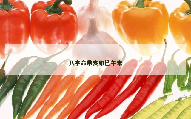 八字命带亥卯巳午未