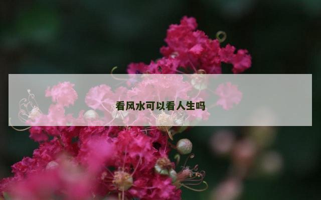 看风水可以看人生吗