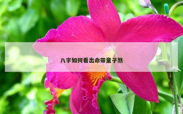 八字如何看出命带童子煞